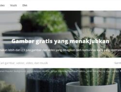 Pixabay Video Gratis, Gambar Gratis & Musik Gratis!