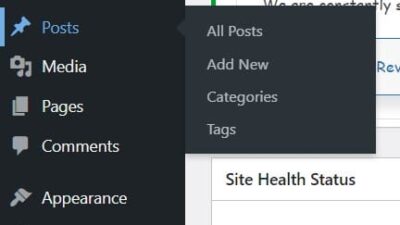 menu post di wordpress